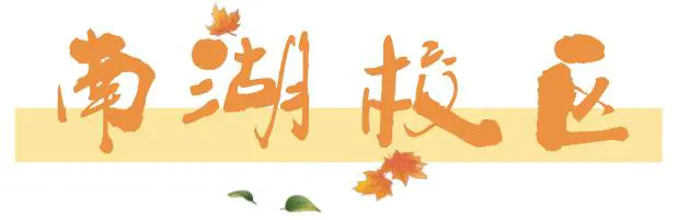 老年人打篮球时应如何进行适当的力量训练?_1